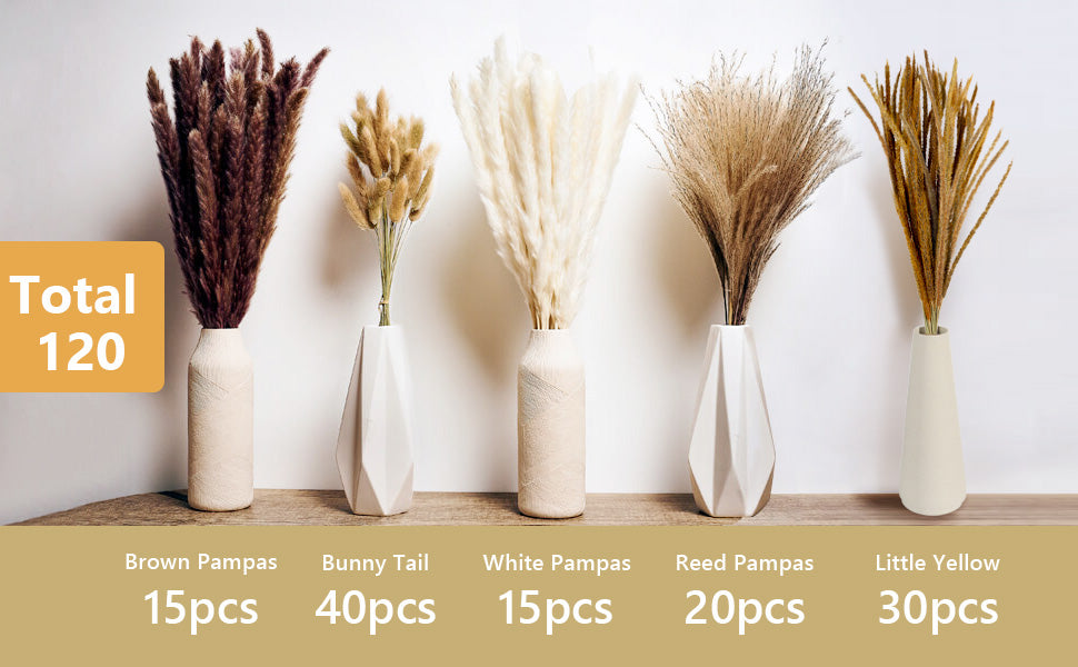 120Pcs Dried Pampas Grass Decor