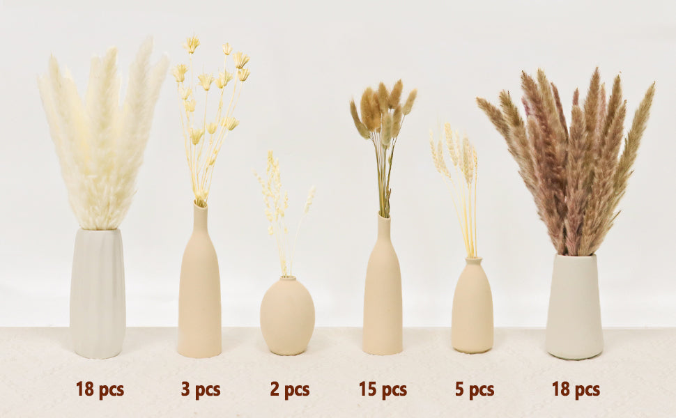 12 Varieties Pampas Grass Decor Bouquet