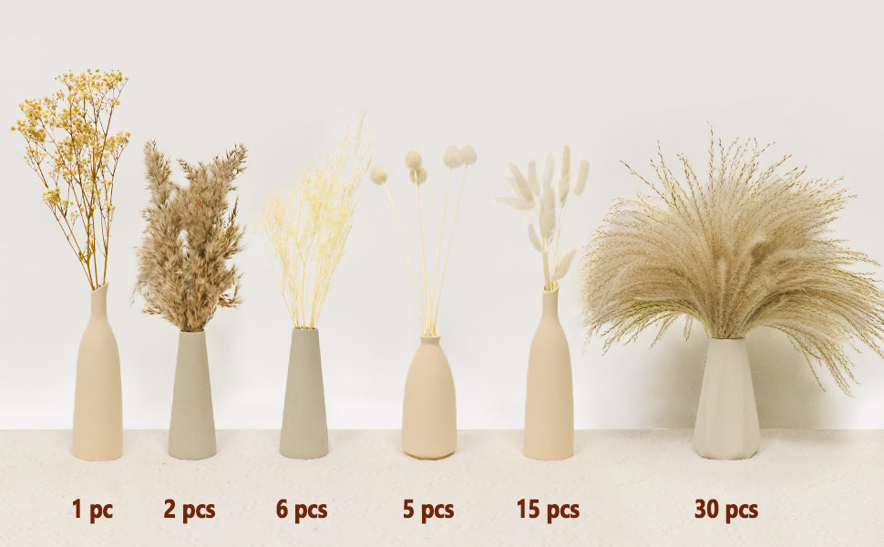 12 Varieties Pampas Grass Decor Bouquet